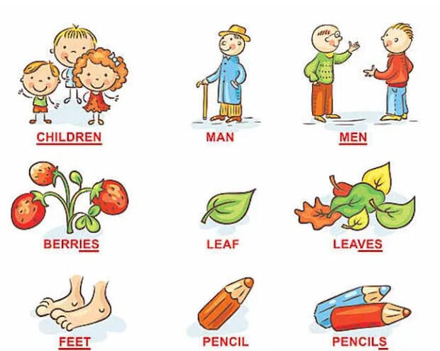 Danh từ đếm được và Danh từ không đếm được