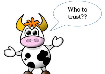 Question words before TO-infinitives